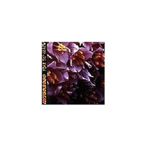 Split CD by Integrity 2000 and Fear Tomorrow (Audio CD - 1999)