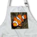 Clown Anemonefish in Magnificant Sea Anemone.(Amphiprion percula).Solomon Islands - Medium Length Apron With Pouch Pockets 22w X 24l
