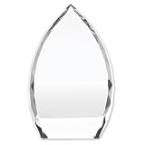 Point Optic Glass Trophy