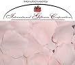 1000 Silk Rose Petals Wedding Favors - Solid Colors - Pale Pink