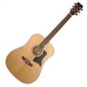 TD8 - Tanglewood Nashville Series