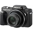 Sony Cybershot DSC-H10 8.1MP Digital Camera with 10x Optical Zoom with Super Steady Shot