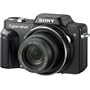 Sony Cybershot DSC-H10 8.1MP Digital Camera with 10x Optical Zoom with Super Steady Shot