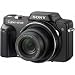 Sony Cybershot DSC-H10 8.1MP Digital Camera with 10x Optical Zoom with Super Steady Shot