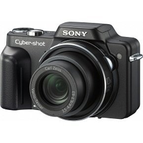 Sony Cybershot DSC-H10 is one of the Best Sony Digital Cameras for Photos of Children or Pets Under $400