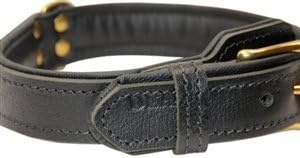 Dean & Tyler "Italian Tailor" Black Dog Collar with Black Padding and Solid Brass Hardware, Size 30-Inch by 1-1/4-Inch, Fits Neck 28-Inch to 32-Inch