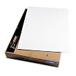 Elmer's 900510 Foam Board, White Surface with White Core, 30 x40, 25 Boards/Carton