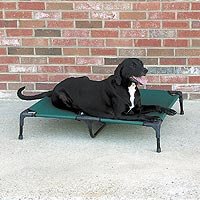 Small Elevated Outdoor Dog Cot-Bed