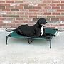 Guardian Gear Pet Cot Lrg