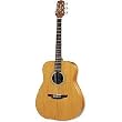 Takamine GS-330S