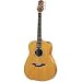 Musical Instruments : Takamine GS-330S