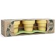 Green Toys Indoor Gardening Kit