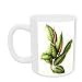 Rubber Plant, 1999 (w/c on paper) by Annabel Barrett - Mug - Standard Size