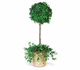 Teleflora's Ivy Topiary