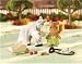 CALICO CRITTERS FIONA AND IVY FRIENDS FOREVER
