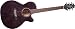 Takamine G Series EG440CSTCY NEX Acoustic Electric Guitar, Transparent Black