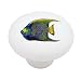 Tropical Angelfish Decorative High Gloss Ceramic Drawer Knob