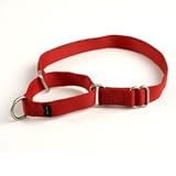 Premier ECO Dog Collar, Large 1-Inch, Deep Sea Blue