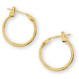 14K Yellow Gold Hoop Pierced Earrings (Pair) for Teens