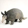Armadillo - Wild Animal - Zoo Animal - Armadillo Figurine