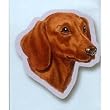 Red Doxy Dachshund Sticky Notes Notebook