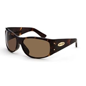 Buy Black Flys Sunglasses - Fly No. 9 Frame: Shiny Black Lens: Gray by Black Flys