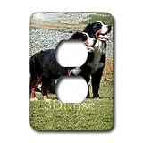 Dogs Bernese Mountain Dog - Bernese Mountain Dog - Light Switch Covers - 2 plug outlet cover
