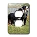 Dogs Bernese Mountain Dog - Bernese Mountain Dog - Light Switch Covers - 2 plug outlet cover