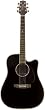 Takamine EG341SC Solid Top CutawayAcoustic-Electric Guitar