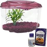 Marina Betta Pals Aquarium Kit - Burgundy