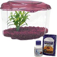 Marina Betta Pals Aquarium Kit - Burgundy by ROLF C HAGEN