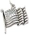 Jewelry : American Flag
