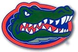 University of Florida Gators - Set of 2 Wallpaper Rolls