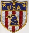USA Eagle Patch ~ Approx 3.5 x 3.5 inches