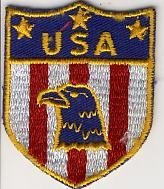 USA Eagle Patch ~ Approx 3.5 x 3.5 inches [Apparel]