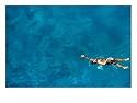 Overhead of Boy Swimming in Pool at Water Polo Training, Bangkok, Thailand Sports Photographic Poster Print by Alain Evrard, 32x24