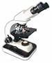 LW Scientific - M5 Infinity LabScope w/ Plan Optics, Binocular Head and 20x Obj