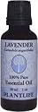 Lavender 100% Pure Essential Oil - 30 ml