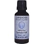 Lavender 100% Pure Essential Oil - 30 ml