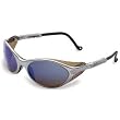 Safety Glasses HD100 Series NEW Blue lens Harley