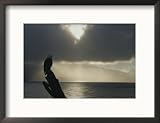 Asolitary Northern American Bald Eagle Stands Perched on a Partial Tree Trunk and Watches for Fish Art Styles Framed Photographic Poster Print by Norbert Rosing, 21x17