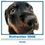 The Dog Rottweiler (Artlist Collection)