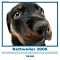 The Dog Rottweiler (Artlist Collection)