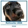 The Dog Rottweiler (Artlist Collection)