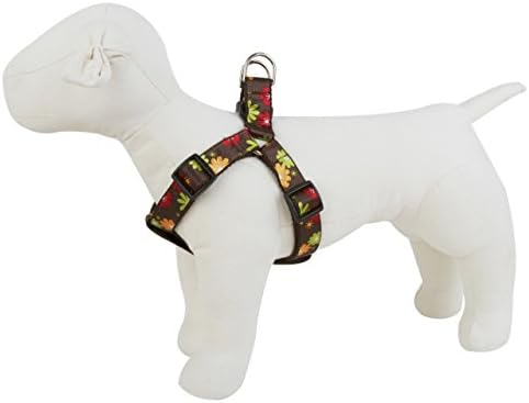 Paw Paws "Margarita Mix Collection Sublime Lime" Dog Collars (Step-In Harness, LRG- 1" ribbon (26"-38" girth))