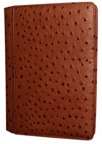 Piel Frama Ostrich Leather Apple Ipad Luxury Magnetic System Closure Case w/ FREE DermaPad Clip Pen!