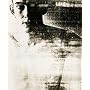 Wolfgang Tillmans: Lighter
