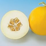 Vegetable Seeds - Melon Amy Hybrid - B00144120I