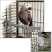Pet Supplies : K&H Small Thermo Perch