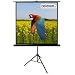 Celexon Stativleinwand Economy 184 x 184 cm
